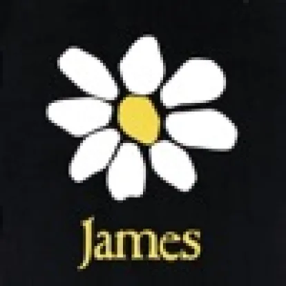 Cover: Sit Down (Apollo Four Forty Remix) von James