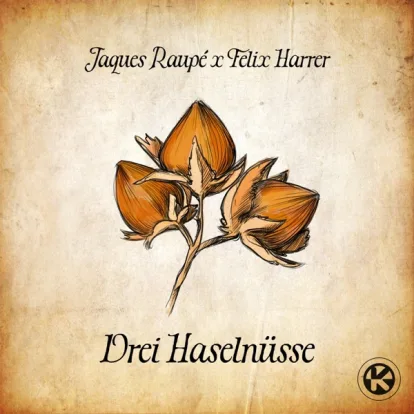 Cover: Drei Haselnüsse von Jacques Raupé, Felix Harrer