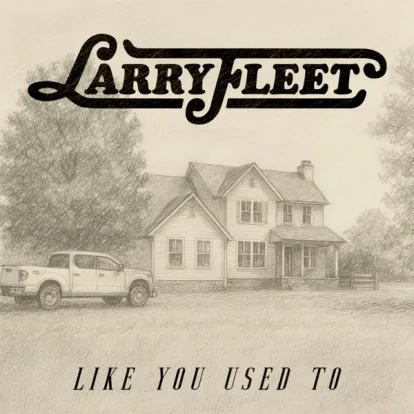 Cover: Like You Used To  von Larry Fleet