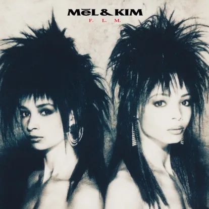 Cover: F.L.M. von Mel & Kim