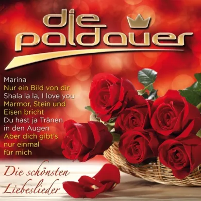 Cover: buona notte von paldauer