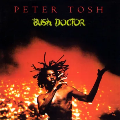 Cover: Pick Myself Up (2002 Remaster) von Peter Tosh