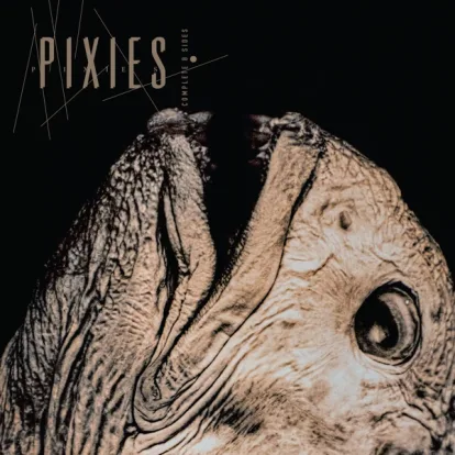 Cover: Planet of Sound (Live from Brixton Academy, London. June 4th, 2004) von Pixies