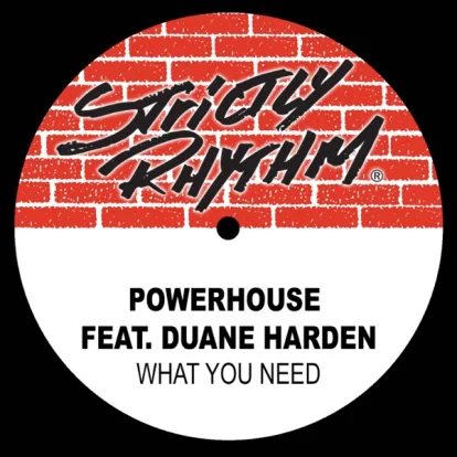 Cover: What You Need von Powerhouse feat. Duane Harden