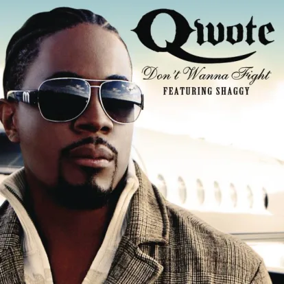 Cover: Don't Wanna Fight von Qwote Feat. Shaggy