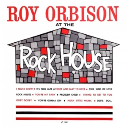 Cover: Devil Doll von Roy Orbison