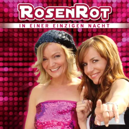 Cover: In Einer Einzigen Nacht von Rosenrot