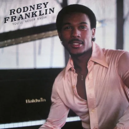 Cover: The groove von Rodney Franklin