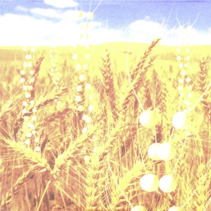 Cover: Breathe von Telepopmusik