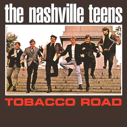 Cover: Mona von The Nashville Teens