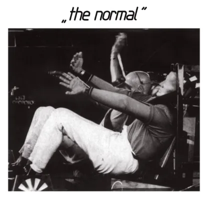Cover: T.V.O.D. von The Normal