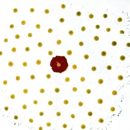 Cover: Everybody's Gotta Learn Sometime von The Korgis