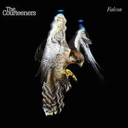 Cover: You Overdid It Doll von The Courteeners