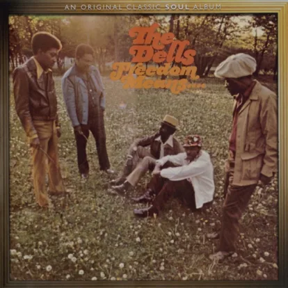Cover: The Love We Had von The Dells