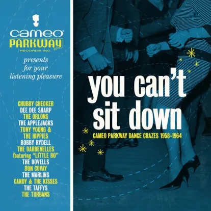 Cover: Bristol Stomp von The Dovells