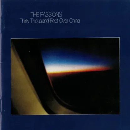 Cover: The Swimmer von The Passions