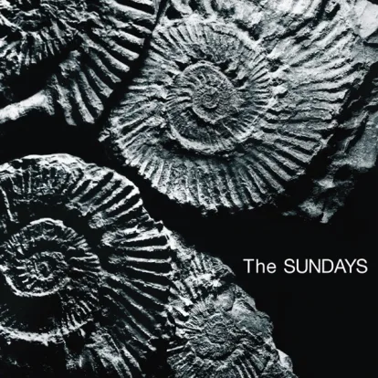 Cover: Can't Be Sure von The Sundays
