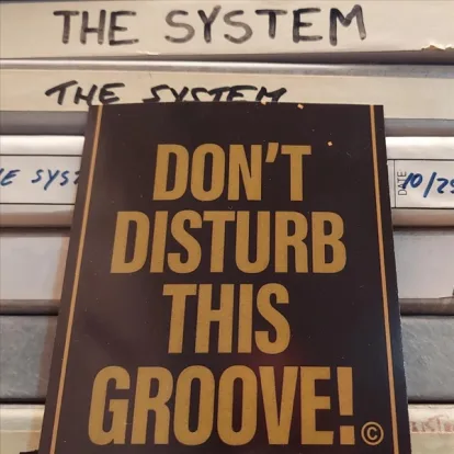 Cover: Don't Disturb This Groove von The System