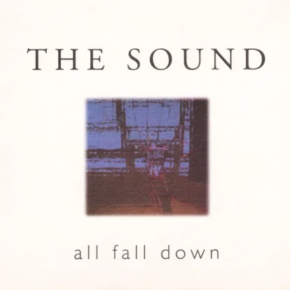 Cover: Party of the Mind von The Sound