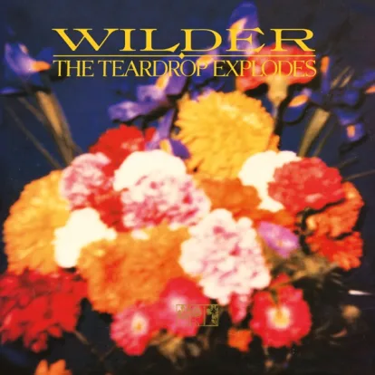 Cover: Tiny Children (Air Studios Rough Mix) von The Teardrop Explodes