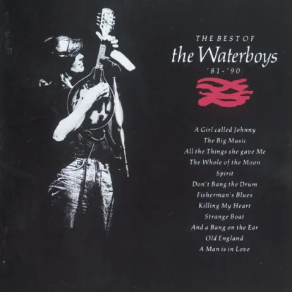 Cover: The Whole Of The Moon (2004 Digital Remaster) von The Waterboys