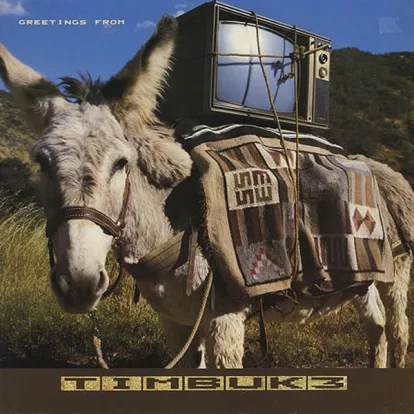 Cover: The Future's So Bright I Gotta Wear Shades von Timbuk 3