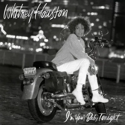 Cover: We Didn't Know von Whitney Houston & Stevie Wonder
