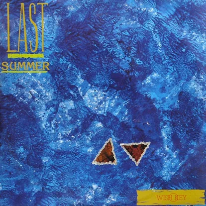 Cover: Last Summer (Radio Edit) von Wish Key