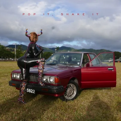 Cover: Pop It, Shake It von YG feat. DJ Mustard