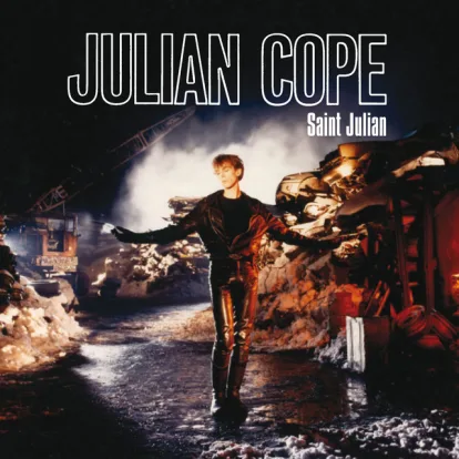 Cover: World Shut Your Mouth von Julian Cope