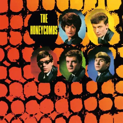 Cover: Have I The Right von The Honeycombs