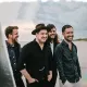 Cover: Little Lion Man