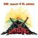 Cover: Redemption Song