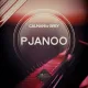 Cover: Pjanoo