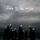 Cover: The Promise