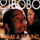 Cover: What a Feeling