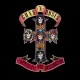 Cover: Paradise City (Live)