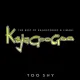 Cover: Too Shy