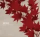 Cover: Somewhere Only We Know