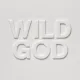 Cover: Wild God