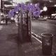 Cover: Two Princes (Live)