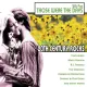 Cover: Smile a Little Smile for Me (LP Version)