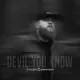 Cover: Devil You Know