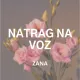Cover: Natrag Na Voz