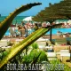 Cover: Beach Baby