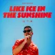 Cover: Like Ice In The Sunshine