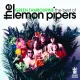 Cover: Green Tambourine